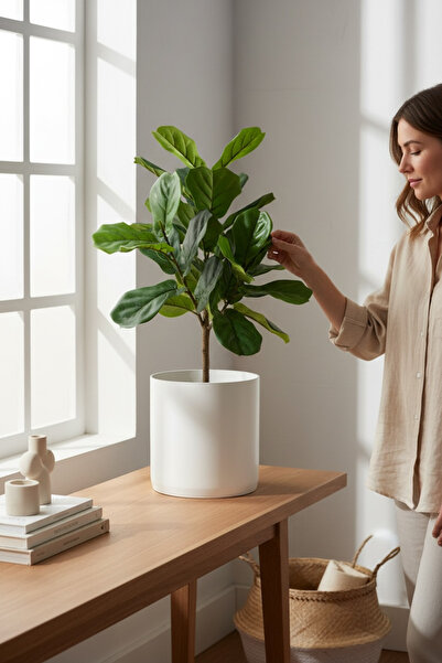 YAPAY ÇİÇEKÇİNİZ Modern Tasarım Plastik Saksı