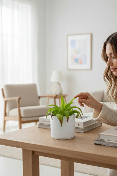 YAPAY ÇİÇEKÇİNİZ صبار صناعي عصاري في وعاء أبيض اللون