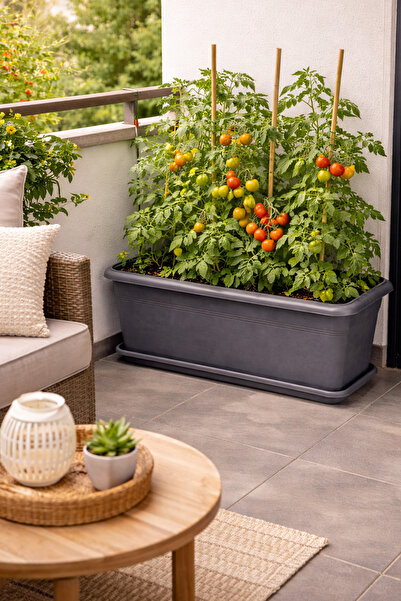 Alezy V692 Villa Bahçe Dış Mekan Saksı 62 Litre Gri