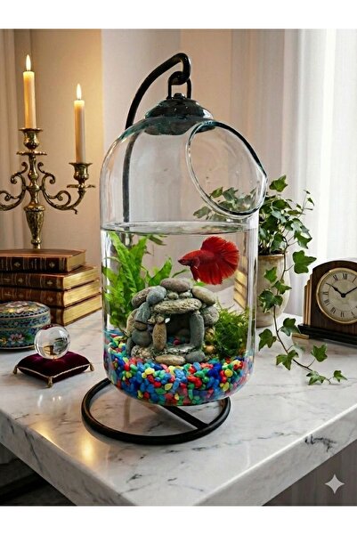 Genel Markalar Akvaryum Fanus Ferforjeli Akvaryum Askılı Fanus Teraryum Büyük...