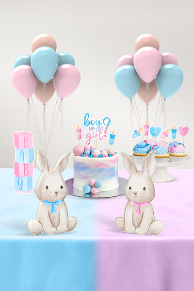 Hey Parti Cinsiyet Partisi Seti - Little Bunny - Mini