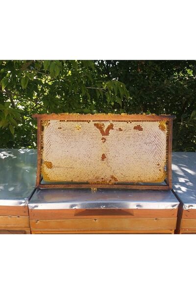 Balsafi Petek Bal 3 KG %100 Doğal Katkısız Saf Arı Balı Geleneksel Köy Petek ...