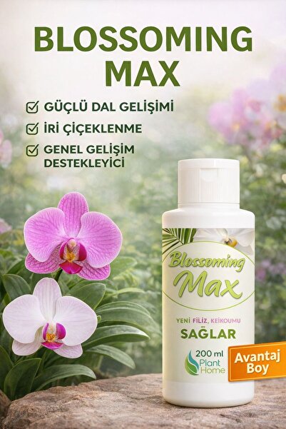 plant-home Orkideler Ve Salon Bitkileri İçin Dal Ve Çiçek Destekleyici Premiu...