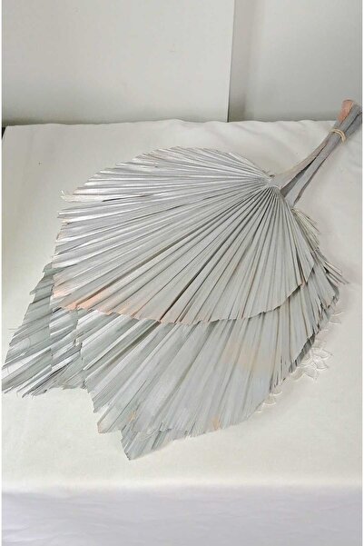 Birlik Palmiye Yaprağı Dekoratif Gri Üçlü