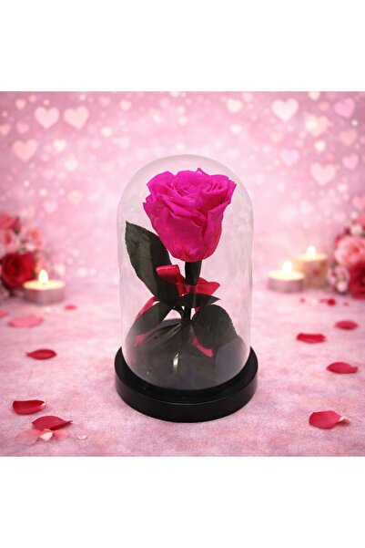 velve Trandafir criogenat cu funda, in cupola de plastic, pe blat negru, roz,...