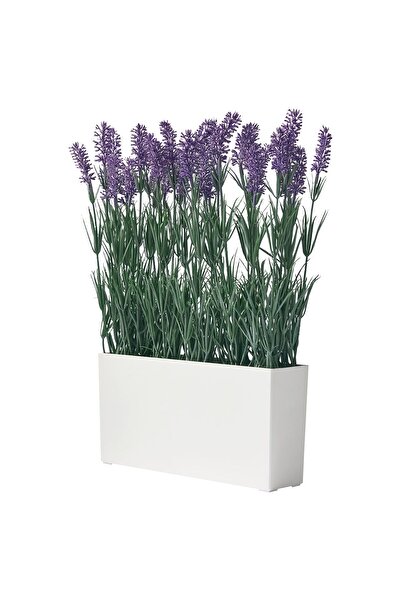 IKEA FEJKA Saksılı Yapay Bitki, Yeşil-Beyaz, Lavanta Çiçeği, İç/Dış Mekan sak...