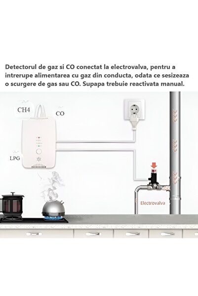 FRAMMINO Detector de gaz și monoxid de carbon FRAMMINO®, plus electrovalvă 3/4 inch DN20