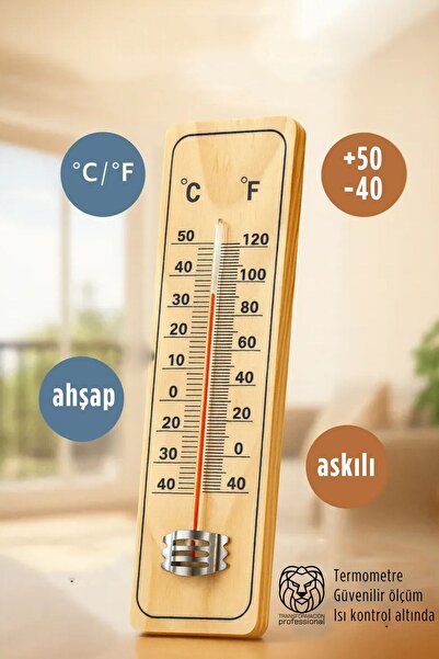 HomeCare Malmsey Ahşap Duvar Termometre 717044