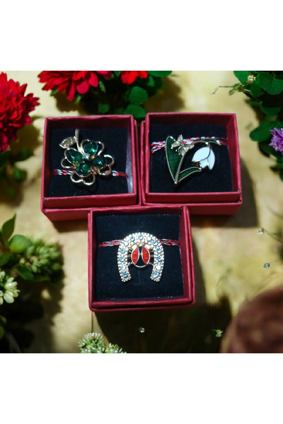 Vision XXI Set 3 Martisoare Tip Brosa Ghiocel, Potcoava Si Trifoi Cu 4 Foi, I...