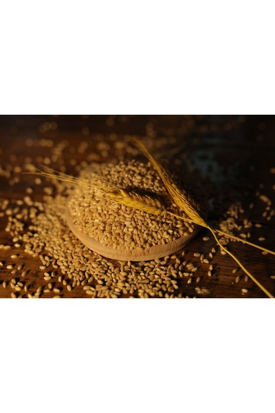 GÜRÜN BAŞAK BULGUR Aşurelik Buğday 1000gr