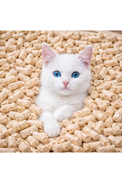 Pak Odun Kömür Pelet Pelet Kedi Kumu A Plus Premium Topaklanmayan Tozsuz 8 Li...