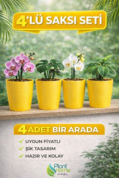 Plant Home Power Mix Dekoratif  Sarı Orkide Saksısı - 4 Adet Set Fiyatlı -12 ...