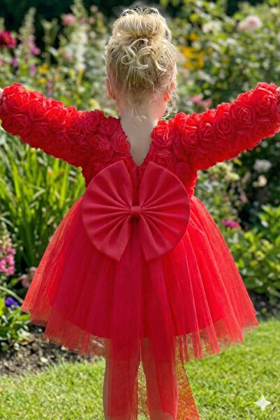 ALYRA Kız Bebek Elbise Uzun Kollu Fiyonklu Güllü Doğum Günü Parti Düğün Özel ...