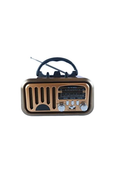 Generic راديو دينكس المحمول بتقنية FM، صوت عالي الدقة، راديو موسيقى كلاسيكي ق...