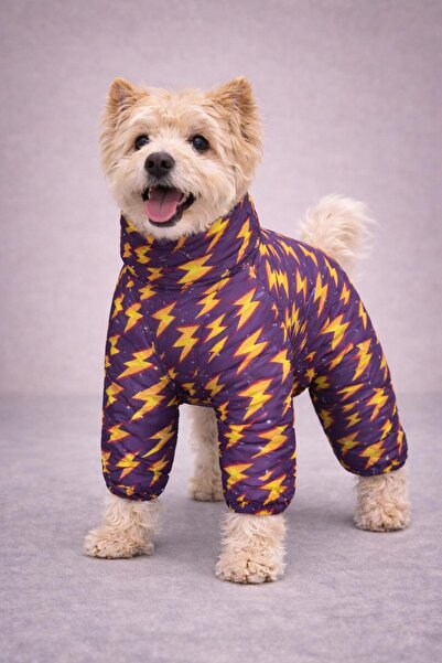 Alphadog Thunder Polarlı Küçük Irk Köpek Yağmurluk Tulumu