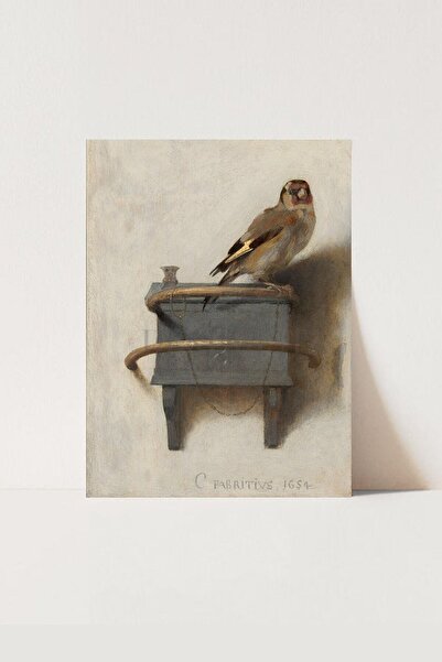 HOME DEKORİSTA Vintage Kuş Poster, Galeri Duvarı, Sanatsal Baskı, AN11