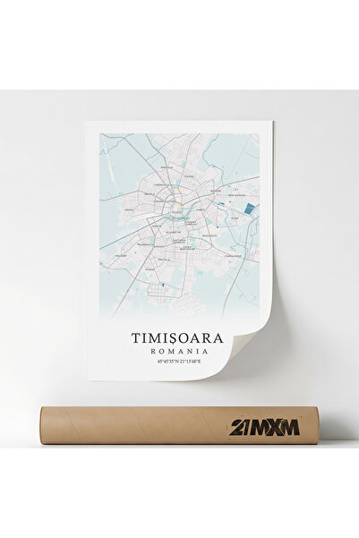 21mxm Canvas Poster with Timisoara City Map - Romania – Unframed Digital Print