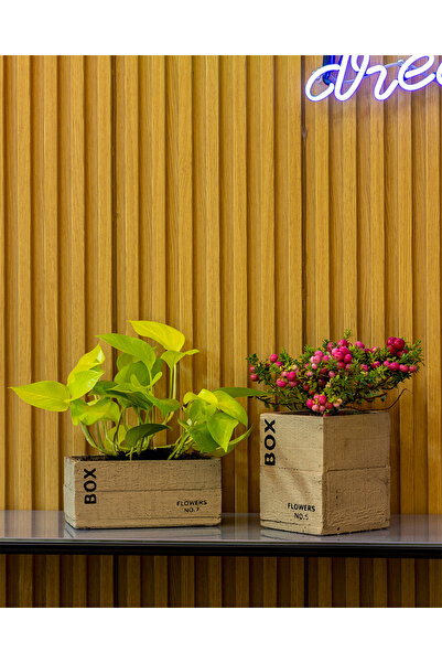 Greenmall Clota Saksı 2'li Set