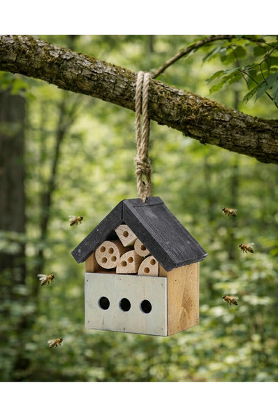 Greenmall Maison Böcek Oteli