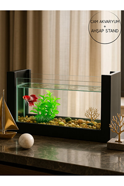 Okay Beta Akvaryum Ahşap Hediyelik Balık Akvaryumu Doğal Ahşap Şık ve Dayanık...