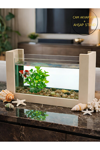 Okay Beta Balığı İçin Ahşap Mini Akvaryum Modern Şık Doğal Minimal Tasarım