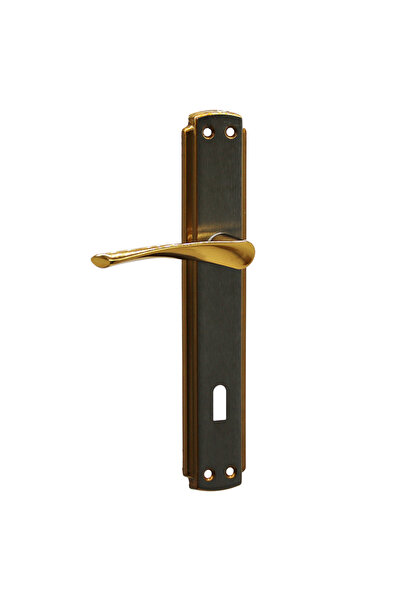 Go İthalat طقم مقبض باب برافو روم أصفر ألبريفين