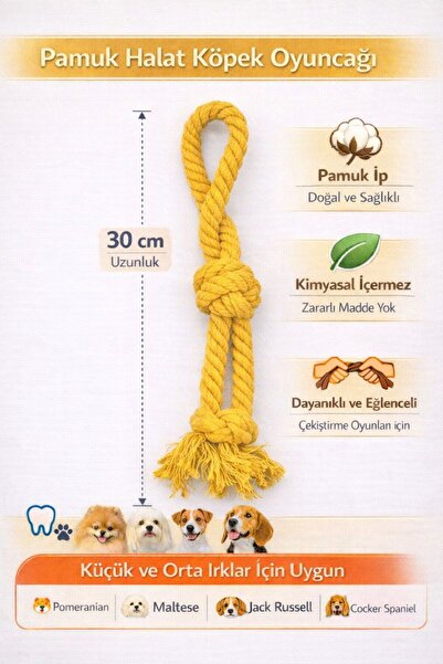 Eva & Wall-e Pamuk Halat Köpek Oyuncağı Küçük Irklar İçin | Diş Temizleyici İ...