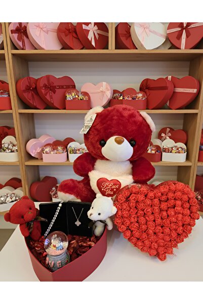 elovya Sevgiliye hediye arkadaşa hediye Kırmızıbüyük Ayıcık 2 adet küçuk pelu...