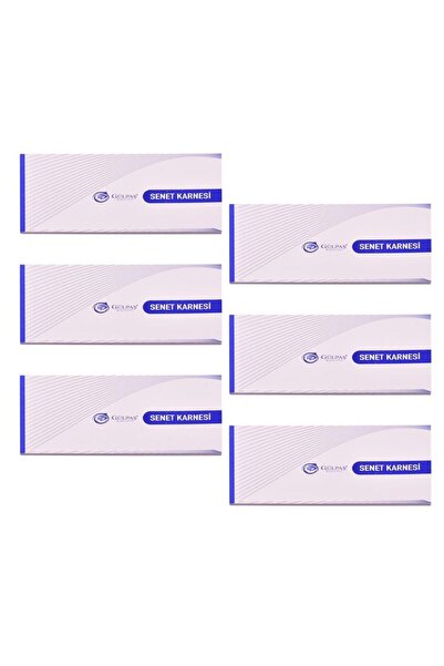 Gülpaş 148 Letter Sheets 50 Sheets Cardboard Cover 6 Pieces