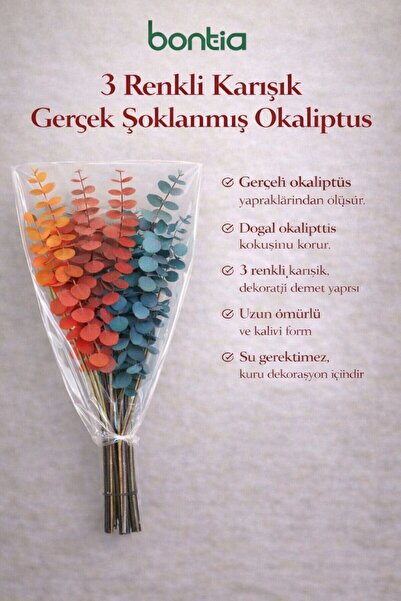 Bontia 3 Renkli Karışık Gerçek Şoklanmış Okaliptüs Demeti – Dekoratif Okalipt...