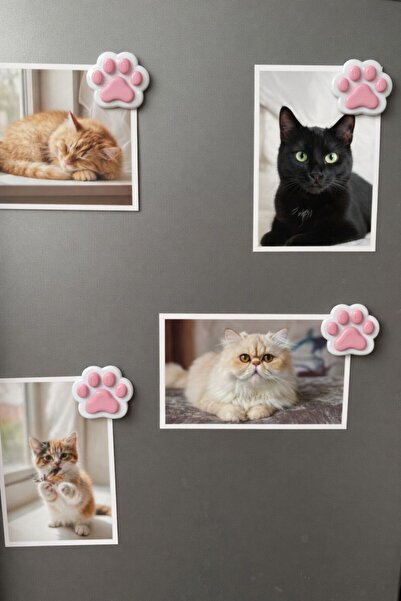 MD Design Sevimli Kedi Patisi Pembe Buzdolabı Magneti, Güçlü Mıknatıslı Dekor...