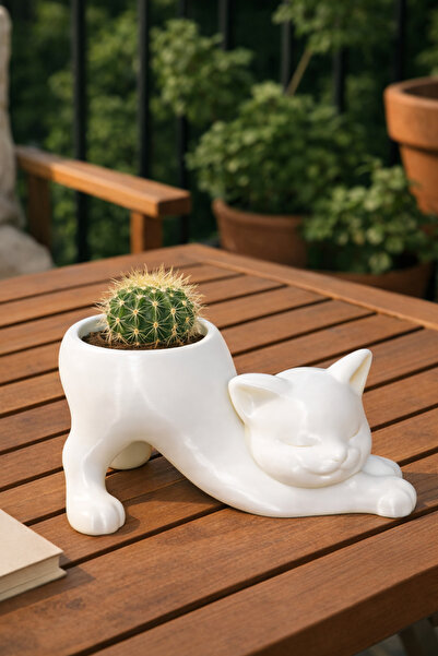 baskıhomed - Kedi Figürlü Sukulent Saksı