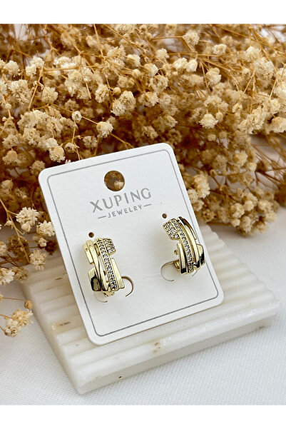 Butik XUping 14K Taşlı çift Renk Halka Küpe