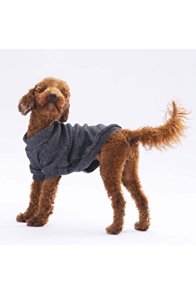 BODRUM PET بلوزة ميرينو سوداء كبيرة الحجم 30×33×46 سم