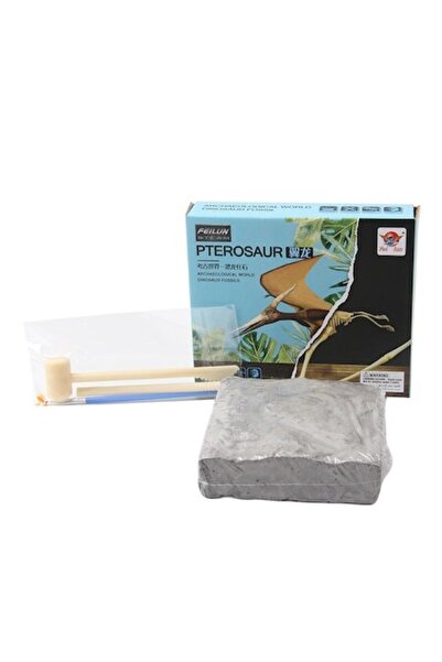 OEM Educational Set Paleontology Discover Dinosaur Fossils Pterosaur