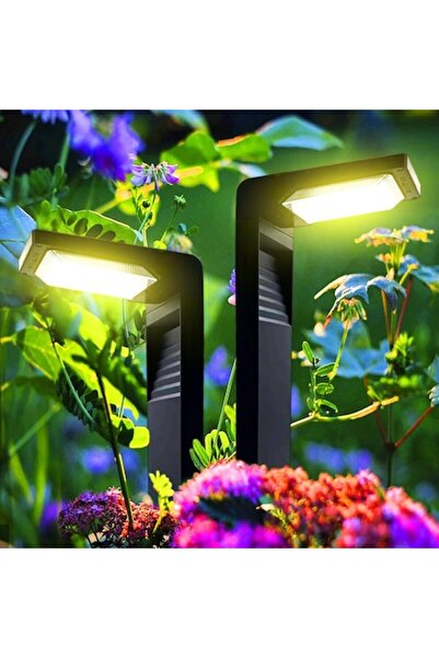 O.M.D Set of 2 Calflux Solar Path Lights
