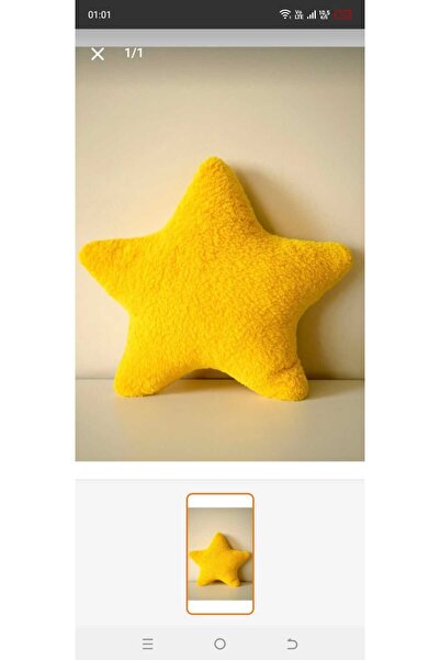 Beta Decorative star-shaped pillow