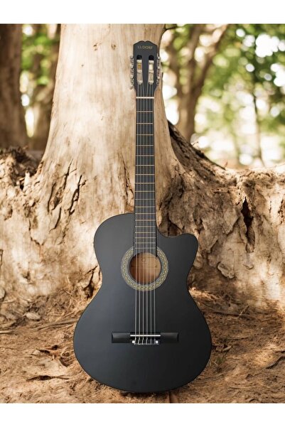 Ludorf Ry1967 Profesyonel Seviye Klasik Gitar