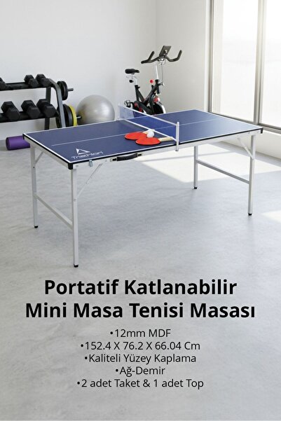 FeyzaDesign Portatif Katlanabilir Mini Masa Tenisi Masası, 152.4x76.2x66.04 c...