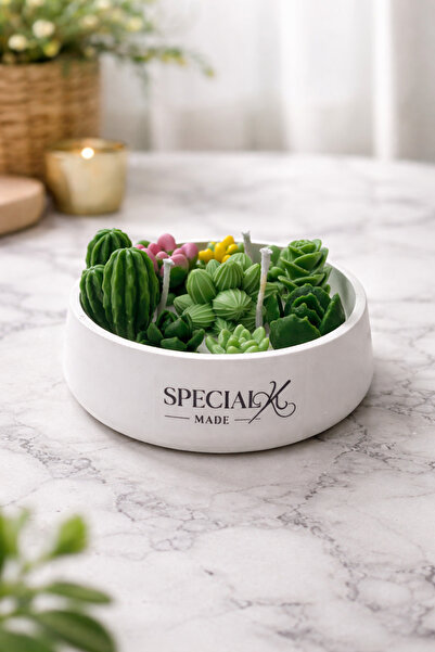 SPECIAL K MADE Sukulent Mum