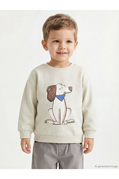 LC Waikiki Nevavm Oval Collar Printed Baby Boy Sweatshirt with Difference