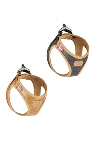 Curli Apple Leather Harness for Dogs - BLACK/XS