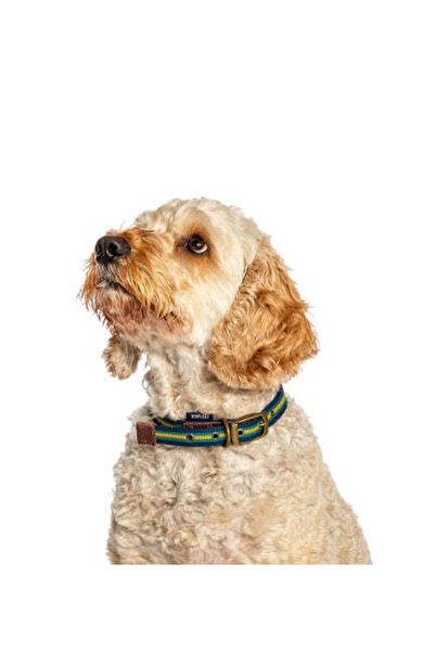 Danish Design FatFace Bold Stripe Woven Dog Collar BLUE/1.5CM