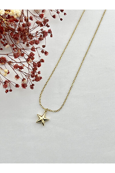 Butik XUping 14K Yıldız Uçlu Kadın Kolye 50 cm