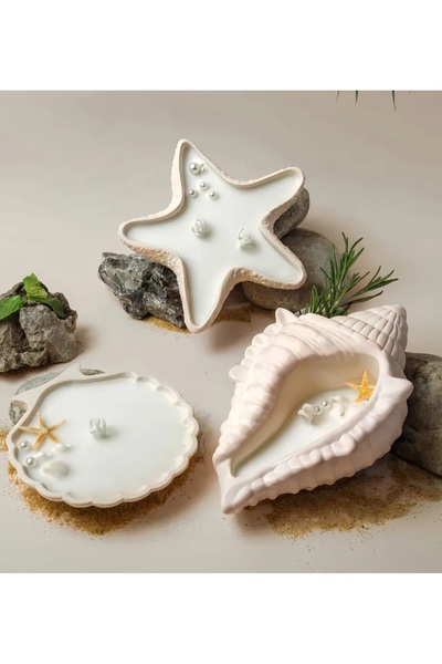 Yaratıcı sanatlar atölyesi 3'lü Deniz Kabuğu İçinde Okyanus Temalı Kokulu Aro...