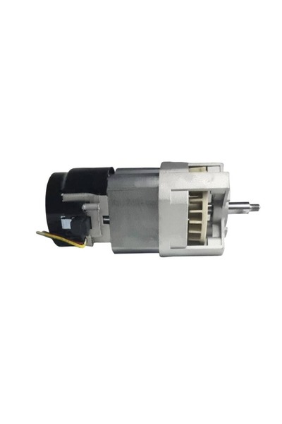OEM Motor electric 220V mori de cereale 1.0 kW/19000 rpm