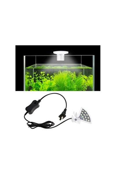 Roxin LED Top Light -White[Power - 5W]