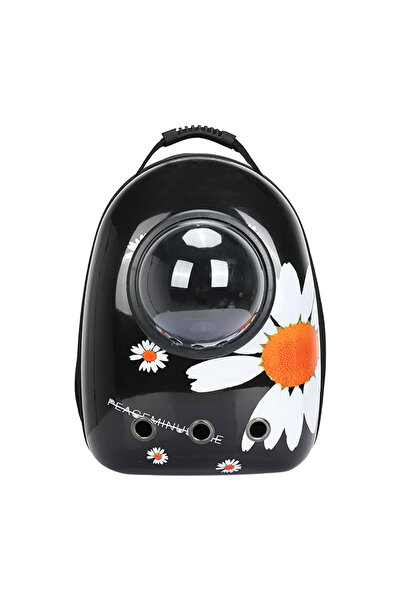 PADO ليلي كيتي - حاملة