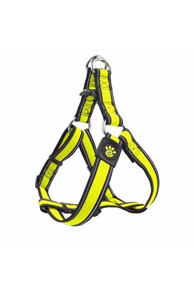 Doco حزام الأمان الرياضي الهوائي من أثليتيكا (DCA202) [المقاس - متوسط، اللون ...