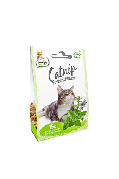 DENTALIGHT نعناع بري طبيعي 15 غرام